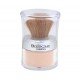 Polvo Suelto Mineral nº2