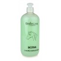 Champú Biotina