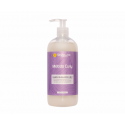 Brische Champú Curly Sin Sulfatos 500ml